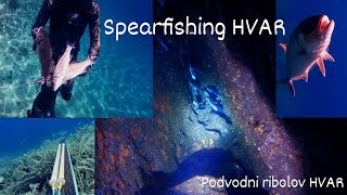 Podvodni ribolov HVAR  Spearfishing HVAR [upl. by Nwahc200]