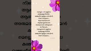 മെല്ലെയെൻ കണ്ണിലെ കുഞ്ഞുകണ്ണാടിയിൽ melleyen kannile kusruthikattu jayaramgireeshputhencherysongs [upl. by Sukram]