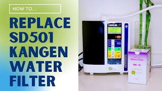 HOW TO REPLACE KANGEN WATER FILTER  Leveluk SD501  Enagic [upl. by Gleda]