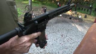 Daniel Defense Integrally Suppressed 300 Blackout [upl. by Nauqat659]