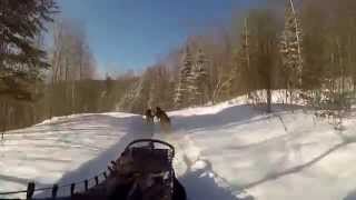 Kanatha Aki Traîneau à chiens Dogsled Mont Tremblant Laurentides Quebec [upl. by Assecnirp132]