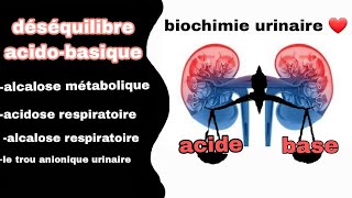 déséquilibre acidobasique  alcalose métabolique et respiratoire acidose respiratoire [upl. by Yearwood]