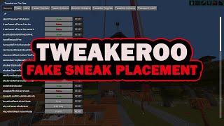 Tweakeroo Fake Sneak Placement  Minecraft Mod Tutorial [upl. by Inaja]