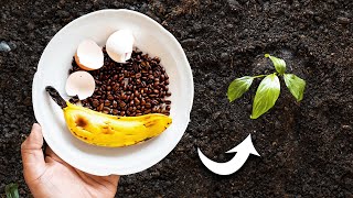 How to Use Eggshells Banana Peels and Coffee Grounds in the Garden [upl. by Deva596]