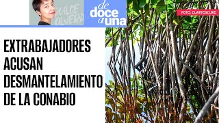 DeDoceAUna ¬ Extrabajadores acusan desmantelamiento de la CONABIO clave para ecosistemas de México [upl. by Onifled]