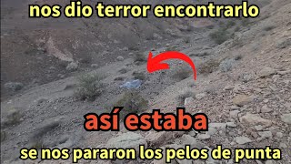 mis aventuras del oeste 381 encontramos esto en el desierto se nos pararon los pelos de punta [upl. by Aiciram]