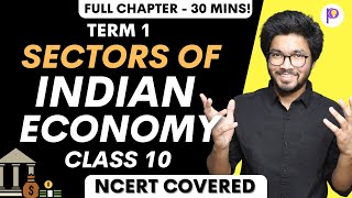 Sectors of Indian Economy Class 10 CBSE Economics Social Science in One Shot  Term 1 Crash Course [upl. by Prowel]