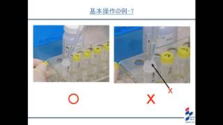 第２回：遺伝子関連検査における基本操作（ピペット・分注） [upl. by Nitsirhc]
