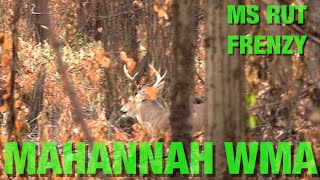 Mississippi Delta PUBLIC LAND Ground Hunting BUCK Encounters  Longtine Outdoors Ep 4 [upl. by Naihtniroc674]