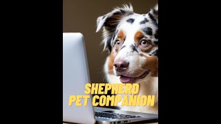 Australian Shepherd  Pet Companion  Gentle Piano [upl. by Jerrilyn423]