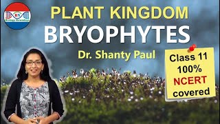 Bryophytes Plant kingdom [upl. by Chouest]