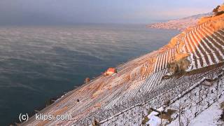 STEAMING LAKE GENEVA IN ICE COLD WIND FEB 5 2012 [upl. by Giovanna]