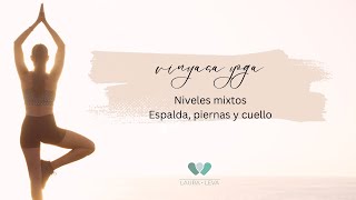 Vinyasa Yoga Niveles Mixtos [upl. by Cahan]