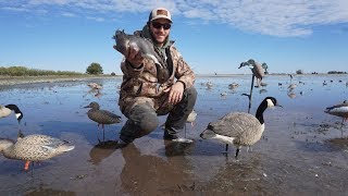 The Pintails and Wigeon Gave it up Snowy Morning Duck Hunt [upl. by Ybreh]