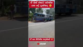 එයාට කරදරයක් 😱 automobile 1millon teamsasindu trending bus sasiyabro [upl. by Ande]