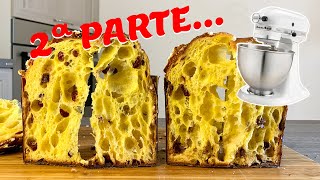 PANETTONE ALVEOLATO fatto in CASA con planetaria  2 parte [upl. by Amaso143]