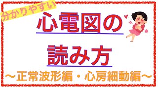 教科書をわかりやすく！「心電図のわかりやすい読み方〜正常波形編・心房細動編〜」 [upl. by Penland]