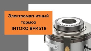 Электромагнитный тормоз для сервопривода BFK518 [upl. by Saqaw]