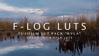 Fujifilm XT3 FLOG COLOR GRADING LUTs  KYLA  Fake Gimbal Challange  inspired by Brandon Li [upl. by Hoskinson]