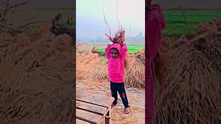 Kheti badi kheti khetibadi shorts viralvideo shortvideo [upl. by Eneres82]