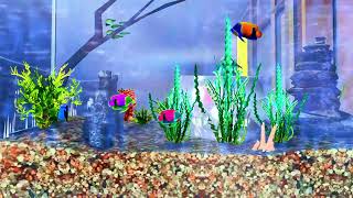 • Club Fish Tank • [upl. by Eisler]