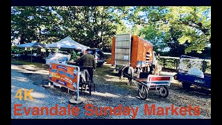 Evandale Sunday Markets 4K ｜Launceston  Walking Tour [upl. by Bez]