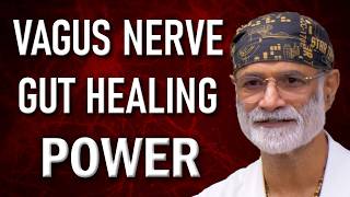 How the Vagus Nerve Heals Your Gut The Key to Digestive Health and Healing [upl. by Claribel86]