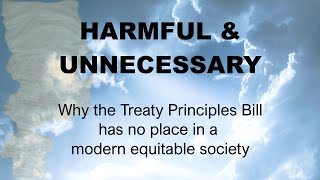 Harmful amp Unnecessary A Video Essay on The Treaty Principles Bill [upl. by Malissia]