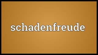 Schadenfreude Meaning [upl. by Washington716]