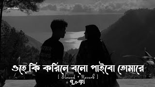 Ohe ki korile bolo paibo tomare Bangla song  Slowed Reverb Ses Kabbo [upl. by Mcgregor546]