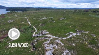 Slish Wood  Sligo Walks [upl. by Jessen]