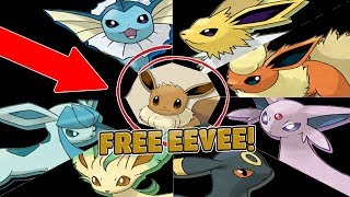 HOW TO GET EEVEE IN POKEMON BRICK BRONZE  ROBLOX [upl. by Anayra269]