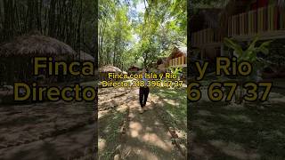 Finca productiva y parcelable en Yotoco contacto directo 3183966737 [upl. by Lynd]