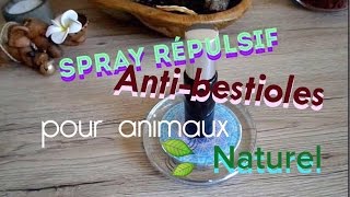 Astuce Spray naturel répulsif antitiques antibestioles Pour animaux chiens [upl. by Aivax]