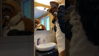 Shampoo Werefox transformation werefoxaries fursuit deaf fursuitdeaf [upl. by Gluck]