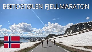 POV  Beitostølen Fjellmaraton 21k [upl. by Bascomb456]