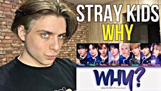 Stray Kids  ‘WHY’ OST Месть В конце желаний  РЕАКЦИЯ НА КПОП [upl. by Yelak221]