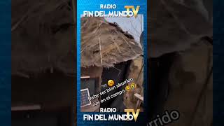 😅🎶👉🏽 𝙎í𝙜𝙪𝙚𝙣𝙤𝙨 𝙚𝙣 radiofindelmundotv ⭐️ radiofindelmundotv futbol Reels [upl. by Eluj167]