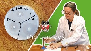 Microbiology  GCSE Science Required Practical Triple [upl. by Sajet]