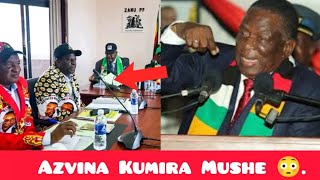 Zanu PF Vorodzerana Mapanga  Azvina Kumira Mushe 😳 [upl. by Larentia]