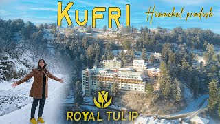 Kufri Snowfall  A beautiful hill station near Shimla Himachal  Royal Tulip Luxury rooms and Suite [upl. by Yllom]