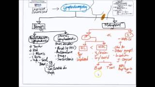 Mindmap Approach to Lymphadenopathy [upl. by Rauscher]