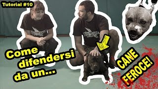 COME DIFENDERSI DA UN CANE FEROCEtutorial [upl. by Enayd]