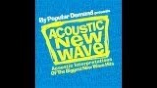 Various Artists  Acoustic New Wave Album Preview [upl. by Aramat]