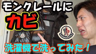 【閲覧注意】カビが生えたモンクレールのダウン洗濯機で洗ってみた【衝撃の結末】 [upl. by Nidraj878]