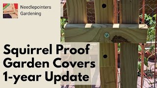 Squirrel Proof Raised Bed Garden Covers for Tomato Plants  1 year update [upl. by Adnilem]