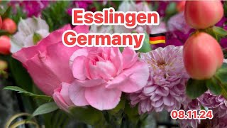 ดอกไม้ Esslingen flower blume sehr schön beautiful germany [upl. by Hendrick]