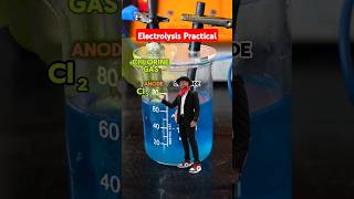 Electrolysis Practical gcsescience [upl. by Dajma]