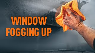 How to prevent car windows from fogging up  AUTODOC tips [upl. by Garlan]