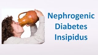 Nephrogenic Diabetes Insipidus [upl. by Enorel494]